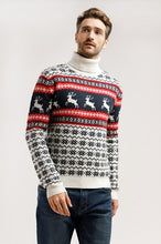 Load image into Gallery viewer, Finn flare men's jumper
